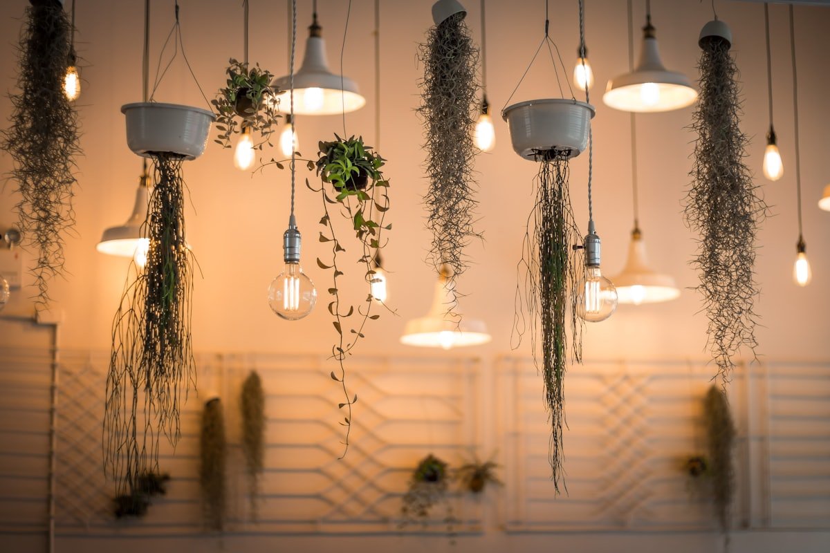 Suspensions de cuisine — Bordeaux Bastide — cuisine ouverte